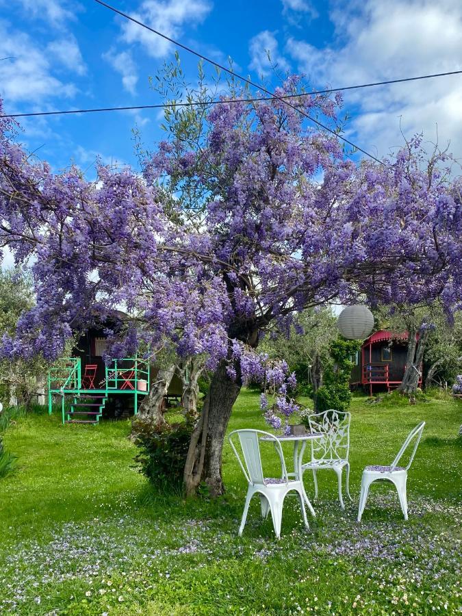 Azienda Agricola Della Mezzaluna Stiava Екстер'єр фото