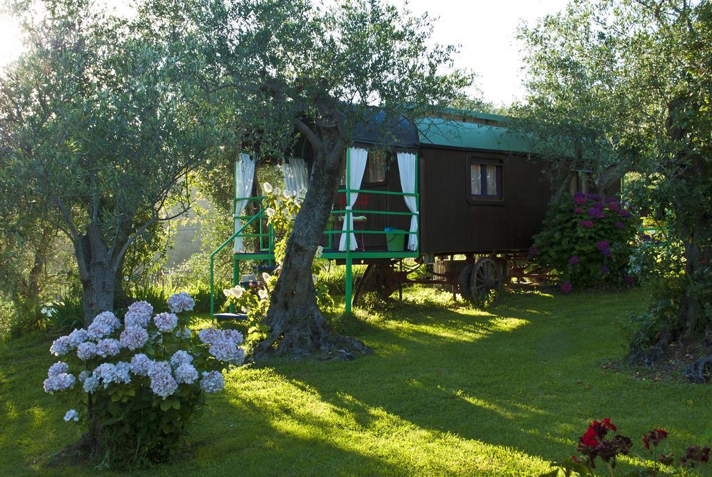 Azienda Agricola Della Mezzaluna Stiava Екстер'єр фото