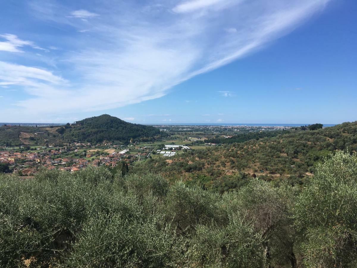 Azienda Agricola Della Mezzaluna Stiava Екстер'єр фото